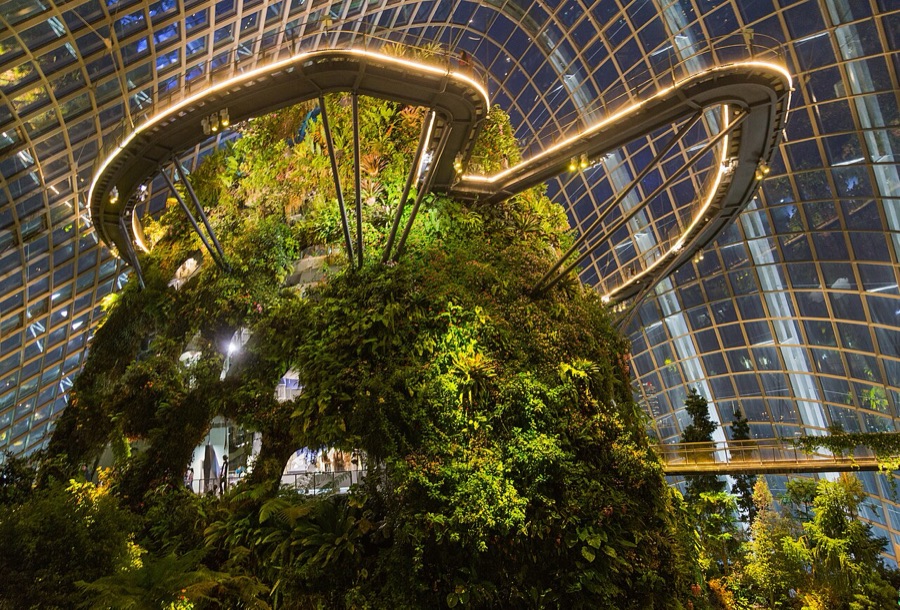 Inside the Cloud Forest dome