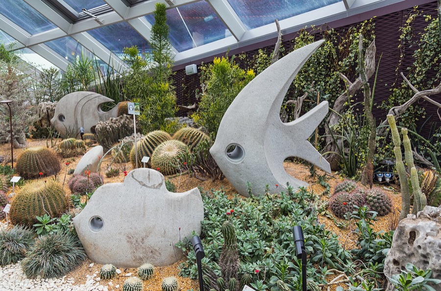 Seasonal display inside the Flower Dome