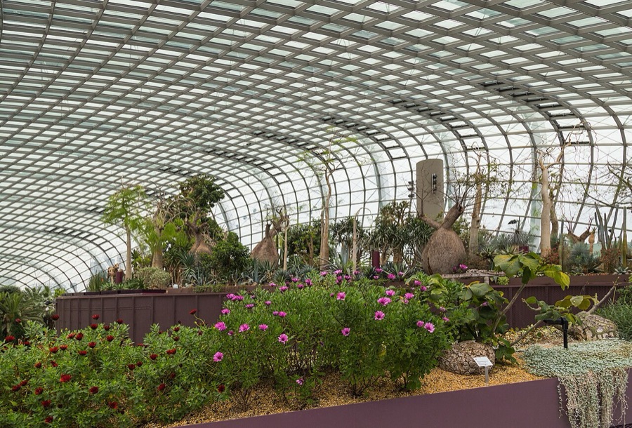 Inside the Flower Dome, Gardens by the Bay